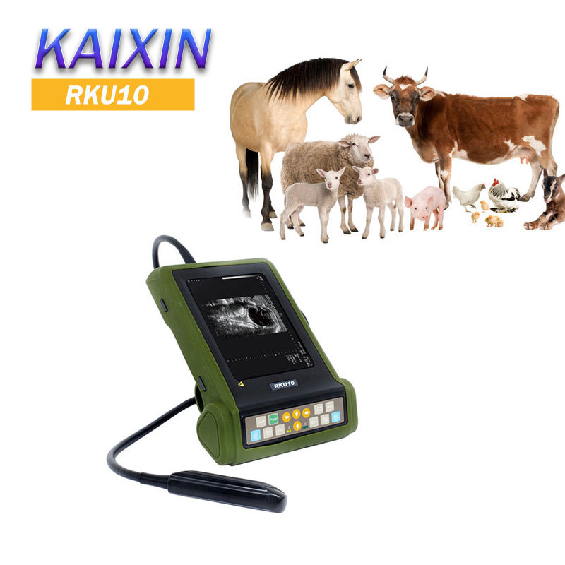 Full Digital B Mode Ultrasonic Diagnostic Instruments RKU10 Veterinary Ultrasound