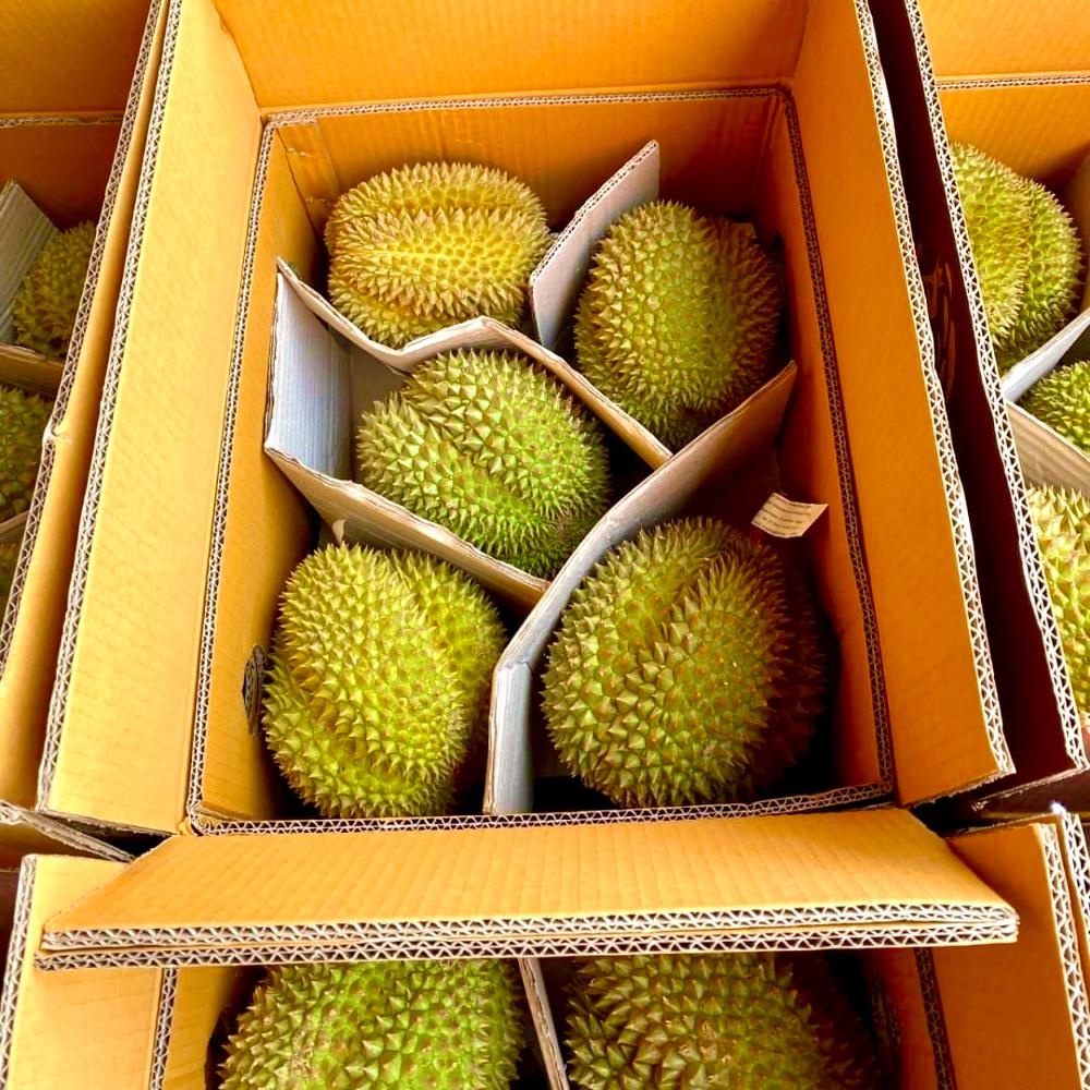 Высококачественные Monthong из Таиланда Fresh Durians