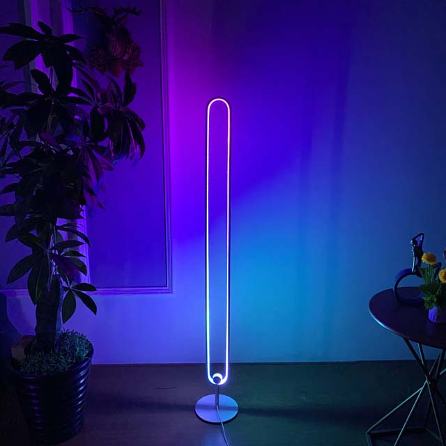 Современная напольная лампа CHUSE RGB с дистанционным управлением, эллиптическое кольцо, светодиодная подставка, угловой светильник, домашний декор, индивидуальная лампа для спальни