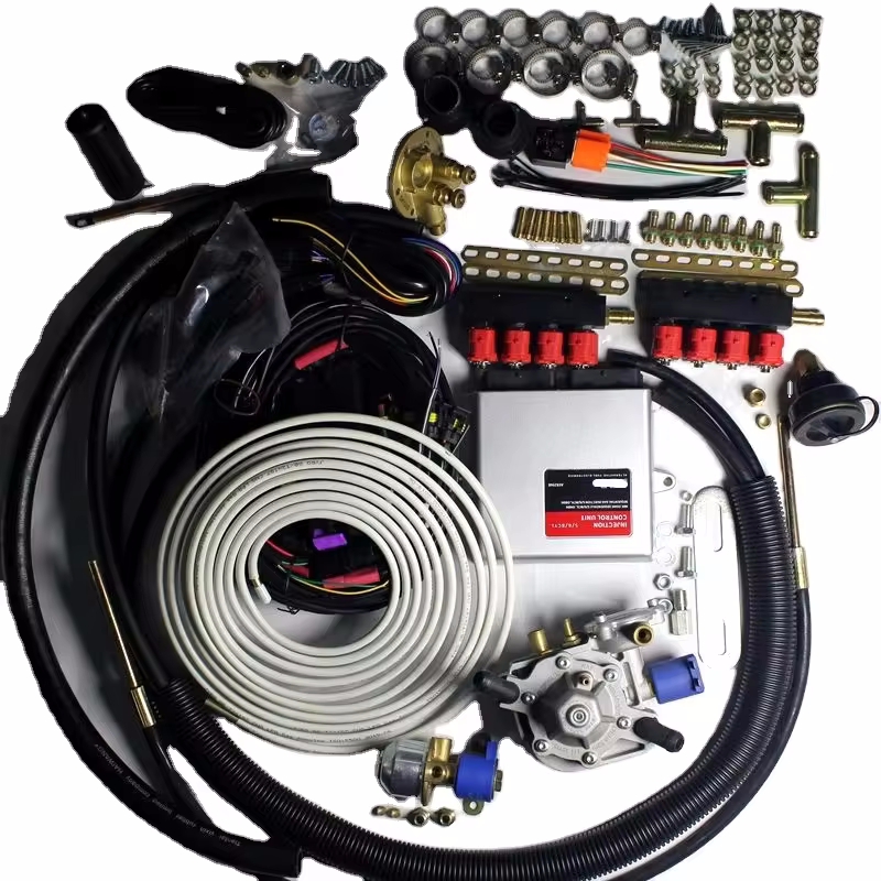 Car CNG Conversion Kit Aeb 2568 ECU Style for 8cly EnginePetrol to Gas Conversion Equipment