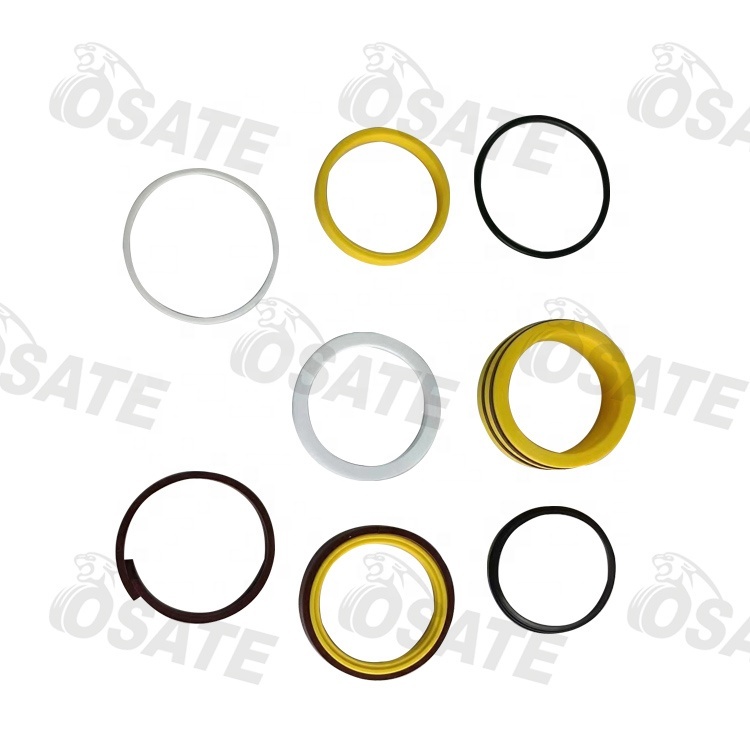 251411008 SEAL SET 63/80