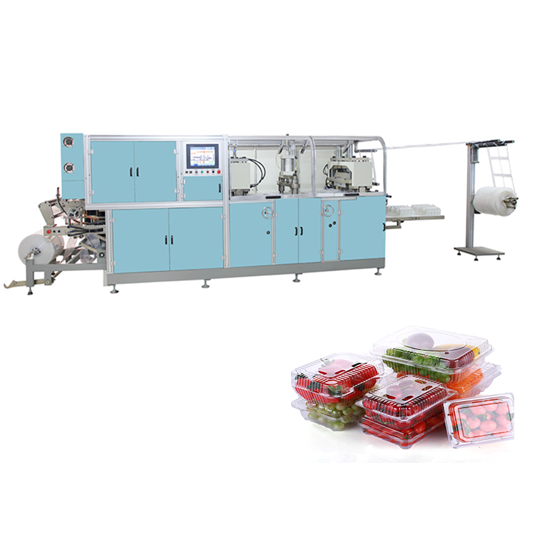 plastic clamshell fruit box thermoforming machine