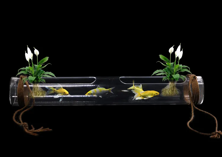 New Arrival creative acrylic customized outdoor landscape tank balcony fish culture pipeline