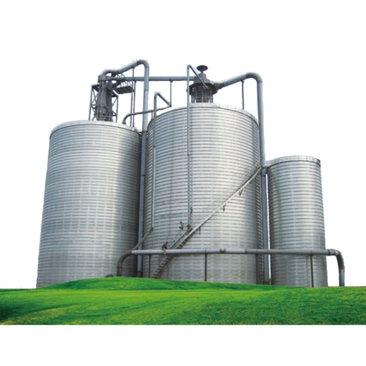 Под ключ Proyecto силос De Almacenamiento Grano