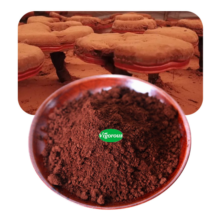 Fast delivery in 24 hours Pure Red Reishi Mushroom Broken Spore Extract Powder