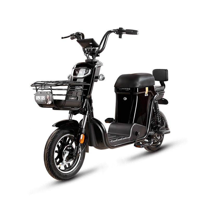 stelth bomber green mountian 5000w fat sidecar radmini electric bike electric motor bike