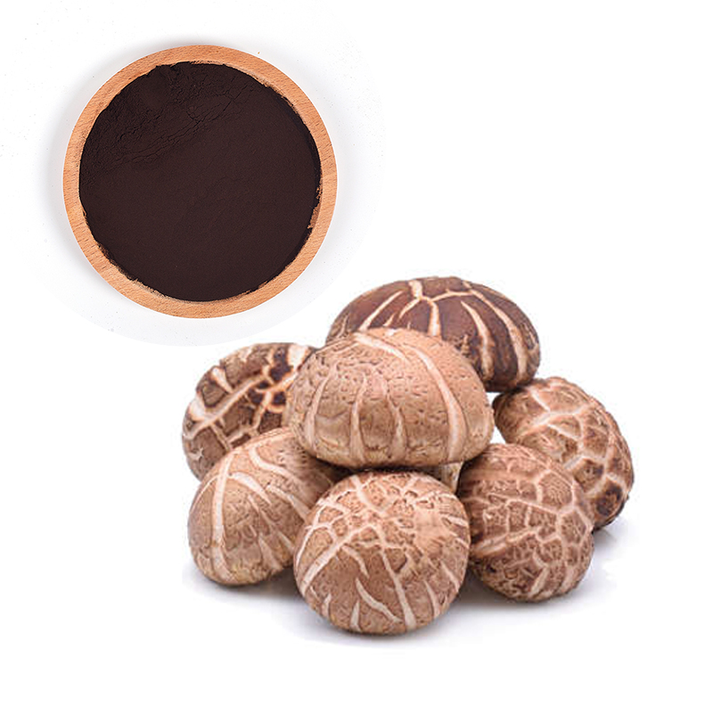 High quality dried shitake mushroom is organic dried food high quality shiitake mushroom wholesale price