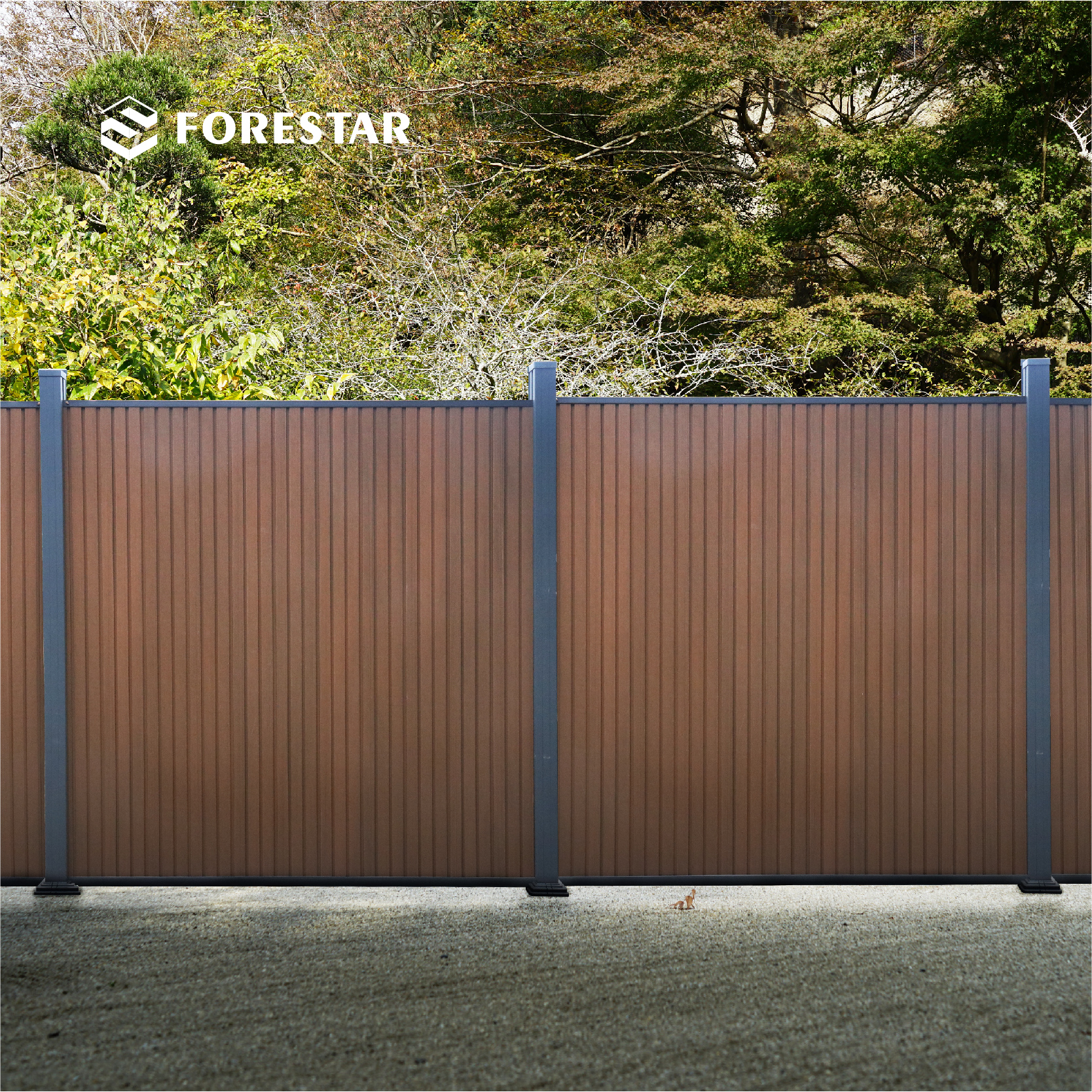 Уличное ограждение FORESTAR OEM/ODM из ДПК, легкая установка, 1,8 м * 1,8 м, совместная экструзия, домашние садовые заборы, панели ограждения ДПК