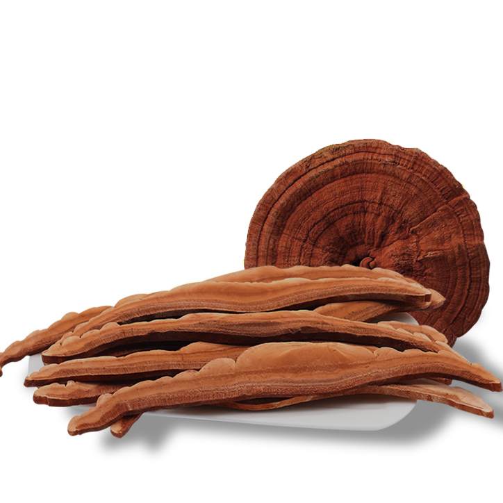 Natural organic high-quality factory direct supply Northeast Ganoderma lucidum