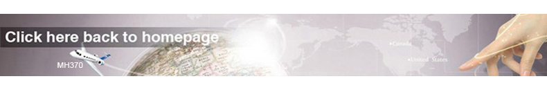 H2.5M custom animal sculpture big large bear  3d acrylic motif light