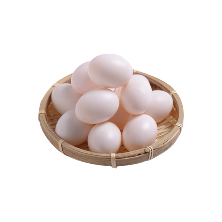 Plastic solid pigeon eggs products white