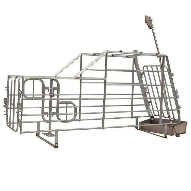Production StallSow Gestation Bed Galvanized Farrowing Crates Pen Pig Paper Flooring Stall