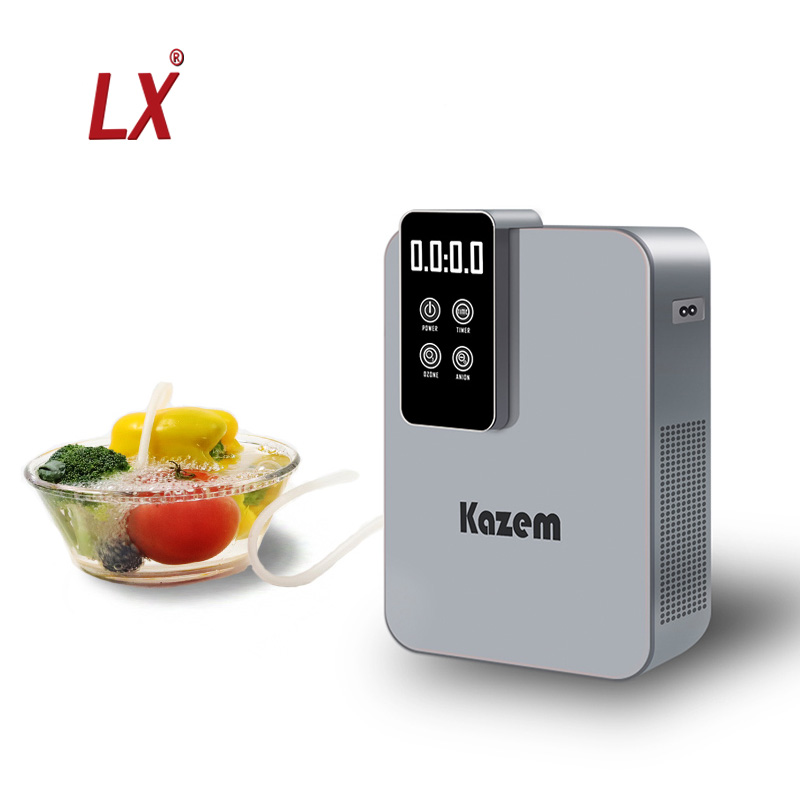 Hot Sale Unique Design Ozone Generator Fruit Vegetable Washer Food Disinfection Machine