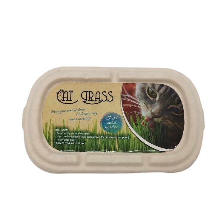 Soilless Cat Grass Cat Snakes Seeds in Paper Box