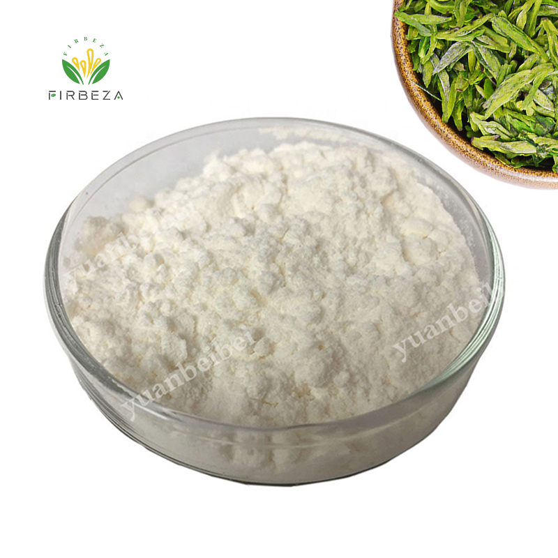 Pure Natural Organic Bulk Green Tea Extract L - theanine Powder