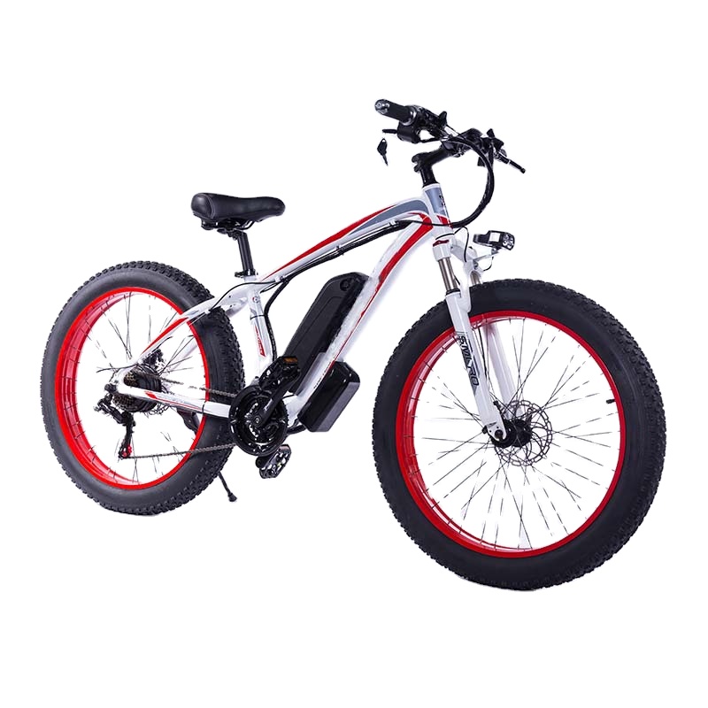Aluminum Alloy XDC600 21-speed 48V 500W 13AH 26 Inch Ebike Electric Bike Dropshipping Available