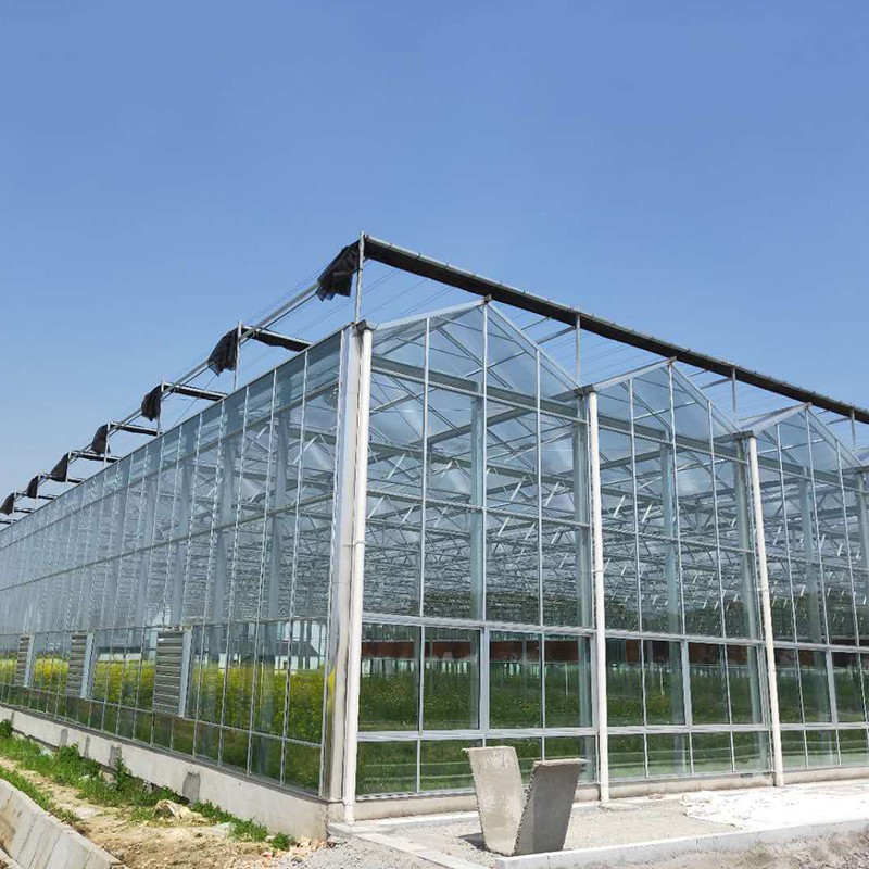 Factory Wholesale Glass Agriculture Greenhouse Easy Assembly for Growing Vegetables