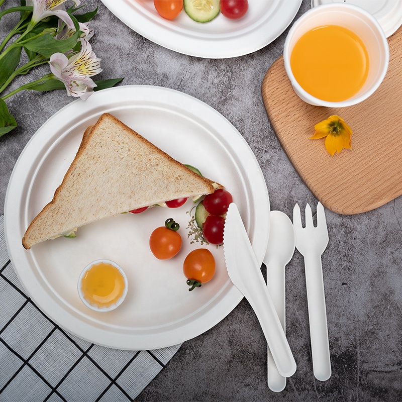 Sugarcane bagasse tableware material paper plates disposable eco biodegradable plate
