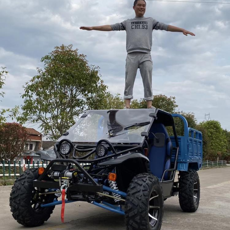 250 куб. См багги для взрослых с двумя сиденьями карт
