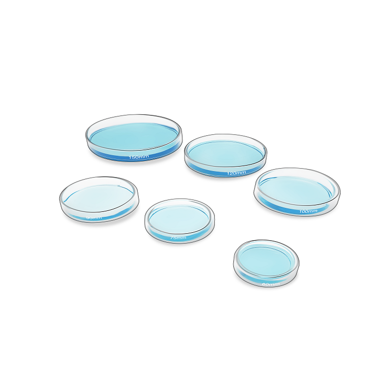 Biological experimental instrument glass thickened high temperature resistant cell bacteria culture dish petri dish