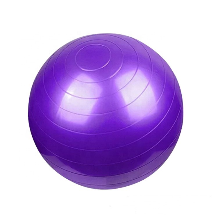Indoor Sports Equipment Yoga Fitness Ball Exercise Gym Balance Pilates Training Ball
