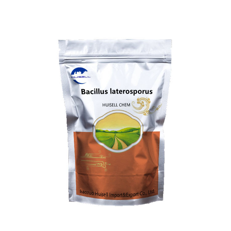 rhizobium bacteria Bacillus laterosporus rhizobium for agriculture product