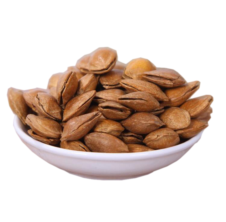 Export of high-quality Sweet Almond, good color, good taste