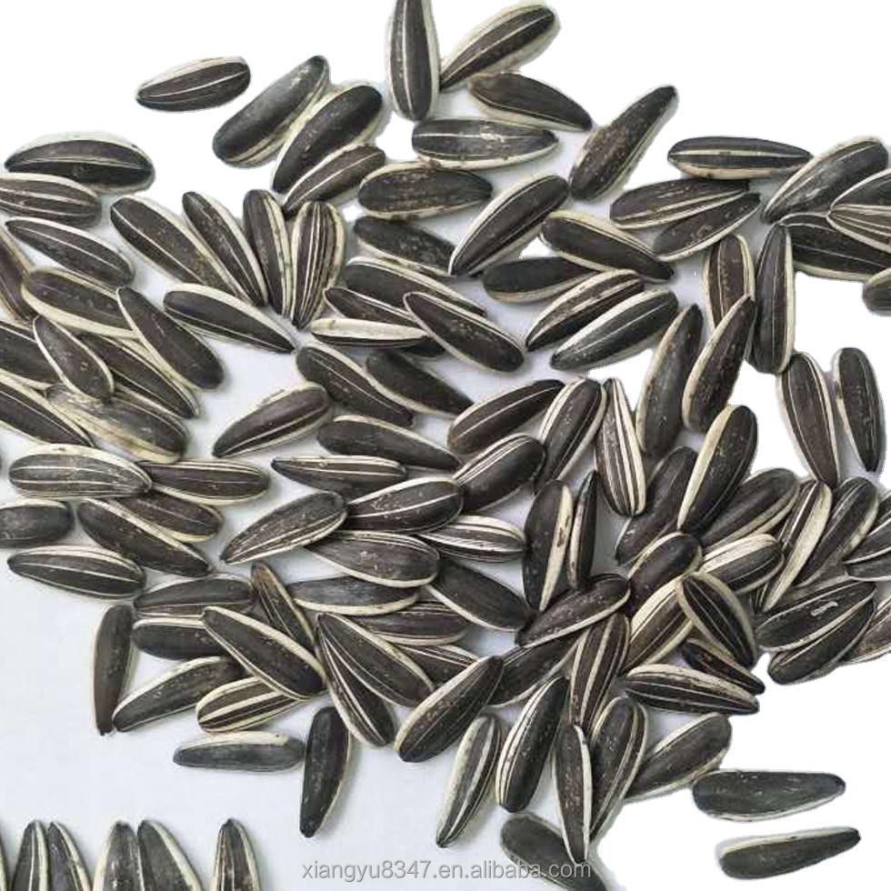500g milk flavor roasted sunflower seeds