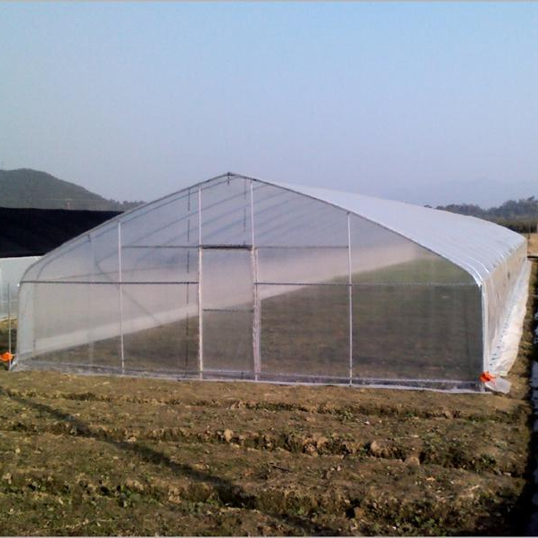 Fuma design low cost agricultural greenhouse tunnel greenhouse