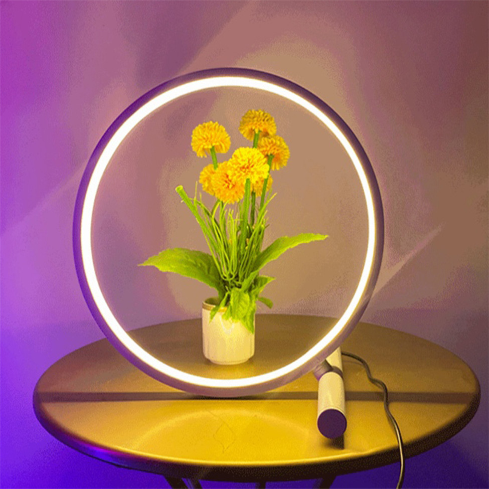 Оптовая продажа, домашний и гостиничный современный круг RGB цветной тусклый RGB домашний праздничный свет