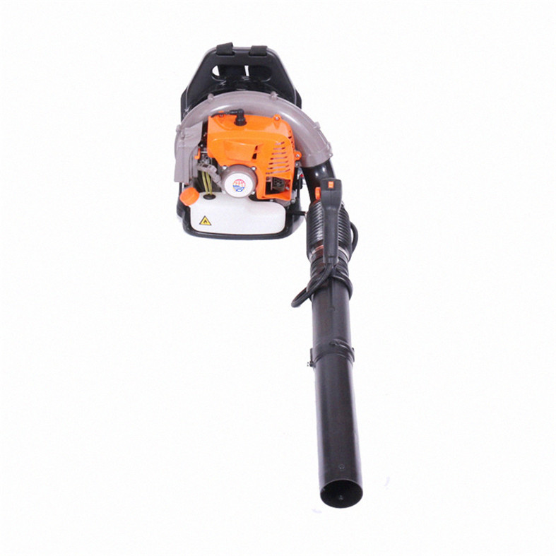Hot Sale High Quality Snow Lightweight Leaf Blower