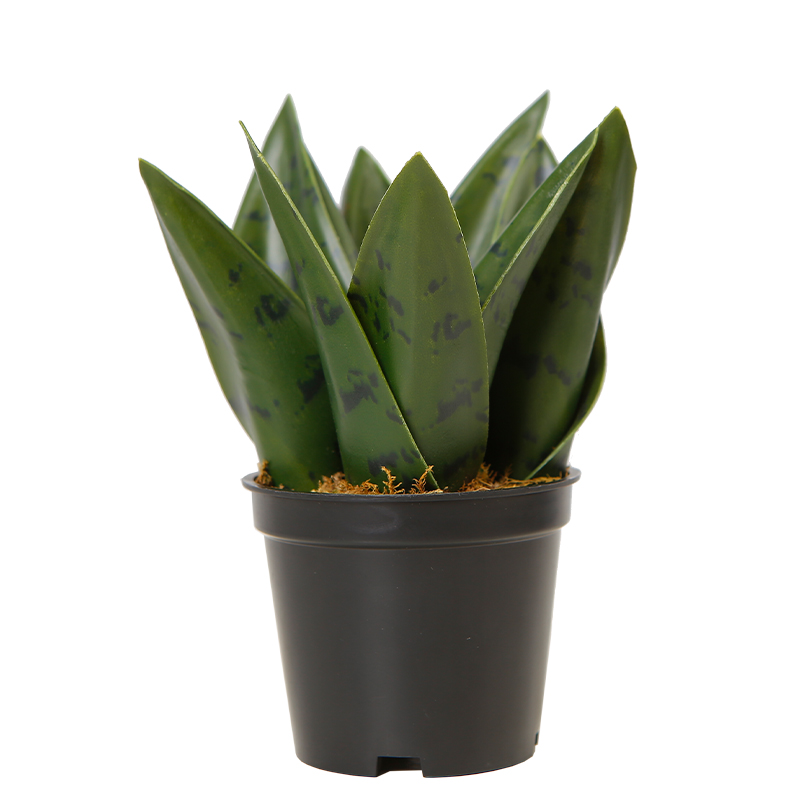 Темно-зеленые пластиковые искусственные змеи Sansevieria, недорогие декоративные растения для сада, 14 см
