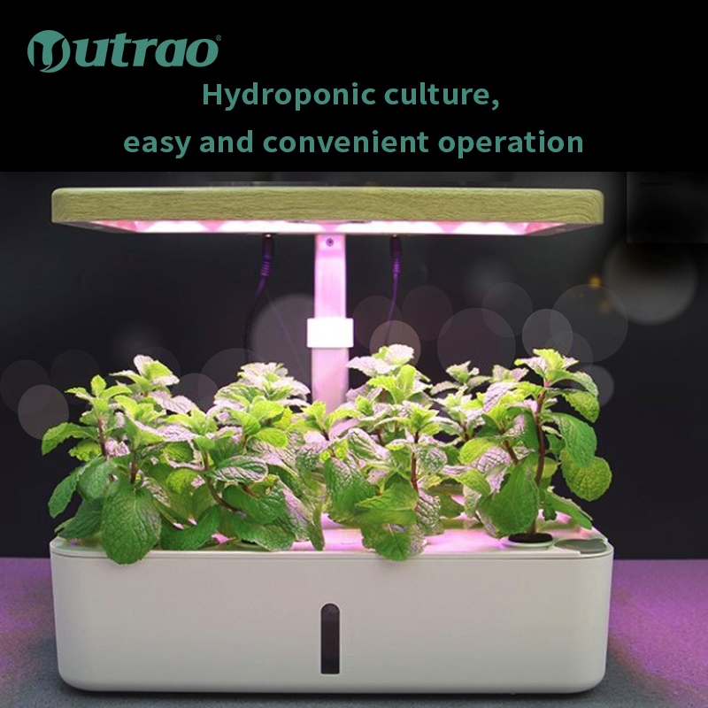 Indoor Smart Hydroponic Grow Systems For Plant Home Vertical Growth Hydroponic System Grow Box