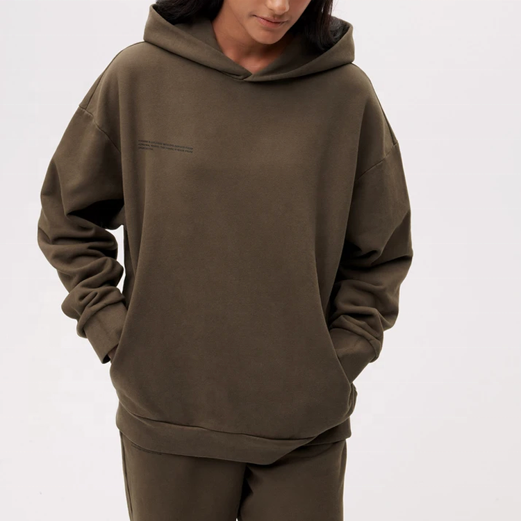 Pangaia Recycled No Strings Cotton Pullover Letter Print French Terry Hoody Plain Wholesale Hoodies Unisex biodegradable
