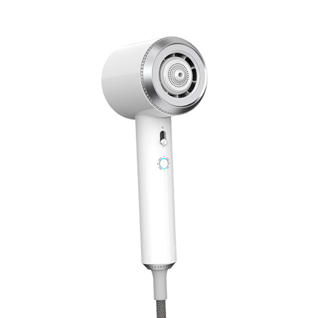 Wholesale Hair Dryer Factory Price Best Quality Supersonic Salon Hair Dryer Hairdryer