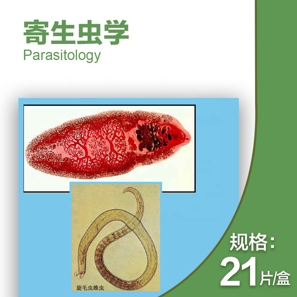 21 шт. для медицинской школы паразитология горки, человека parasitolgy горки, биология parasitolgy горки
