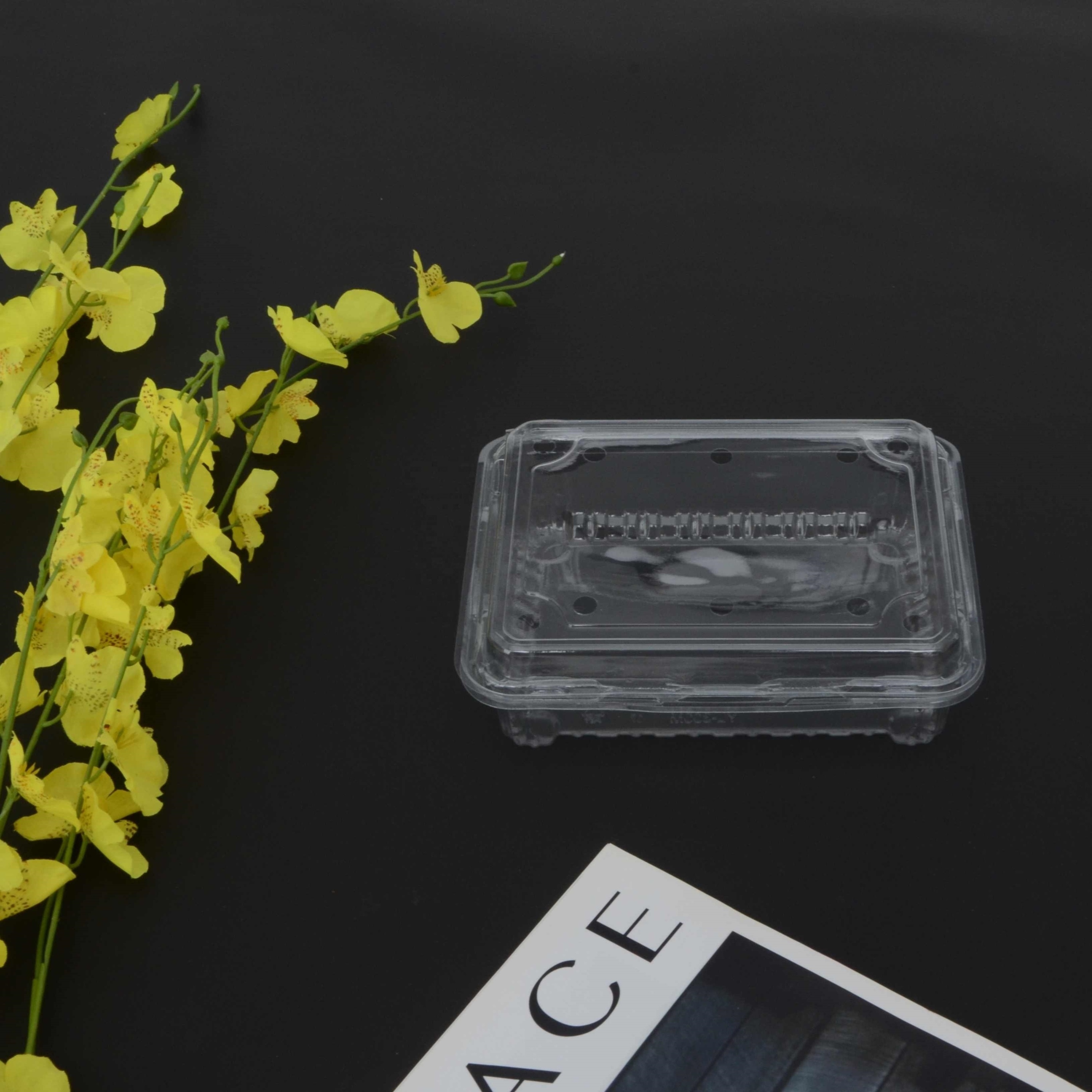 Disposable Container plastic Packaging Containerscontainer Plastic Box Manufacture wholesale