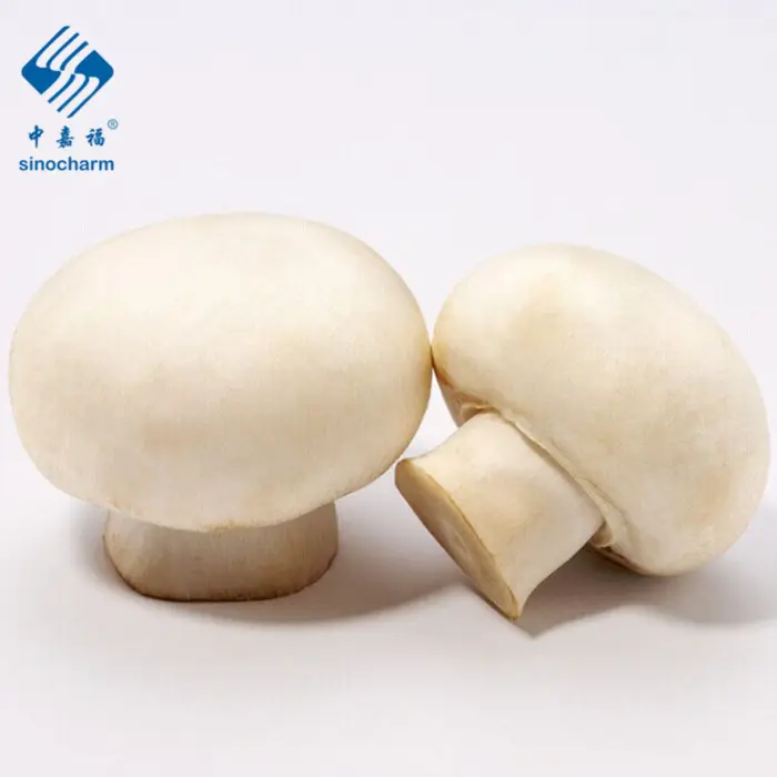 New Crop Delicious White Frozen Mushroom Champignon Frozen Shiitake