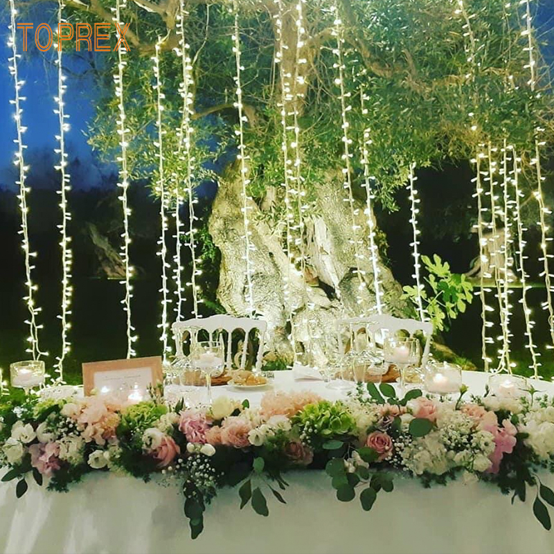 TOPREX DECOR 3*3 м, 300 светодиодов, Подключаемая Рождественская гирлянда для оконных штор