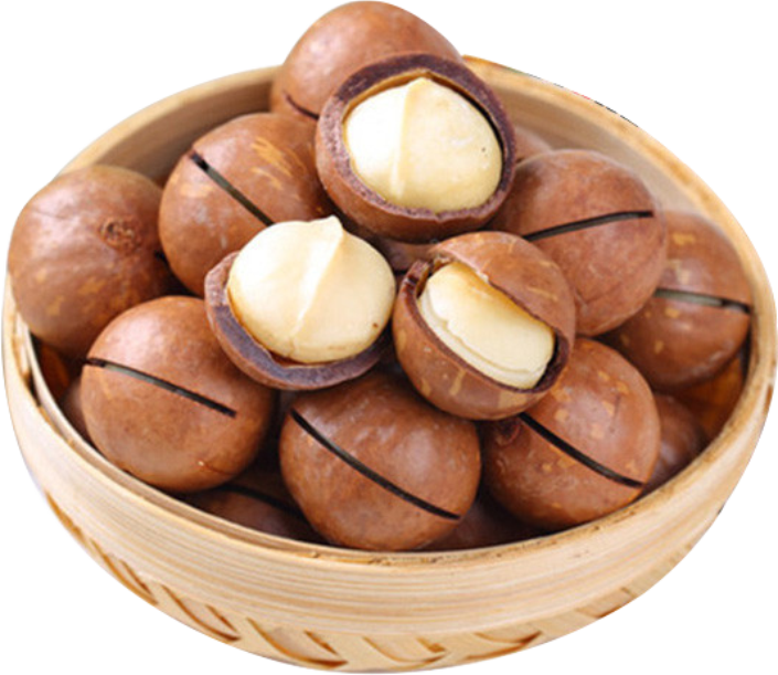 Inexpensive Macadamia Nuts Wholesale Macadamia Nuts With Shell Buyer
