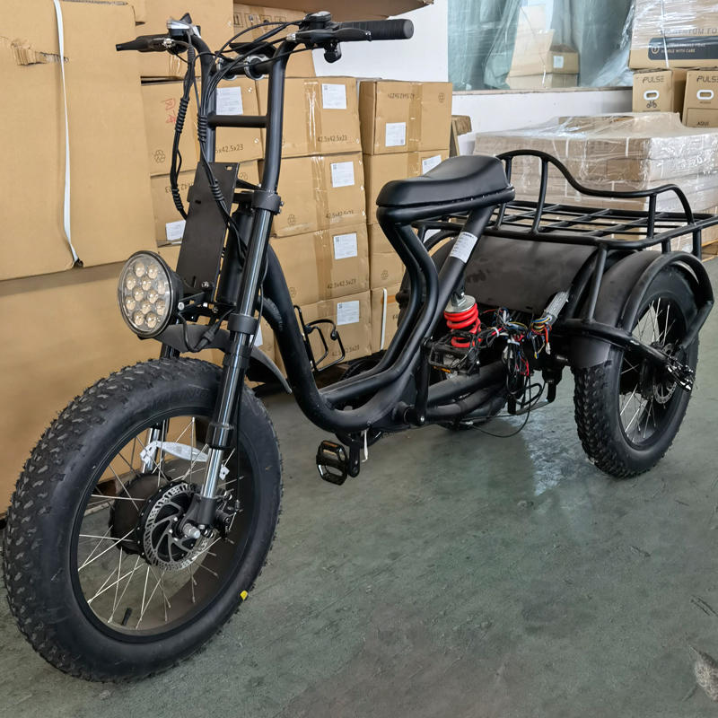 three wheel double drive scooters fat tire cargo tricycle vehicle 48v high-power lithium battery 20inch load electric bicycle