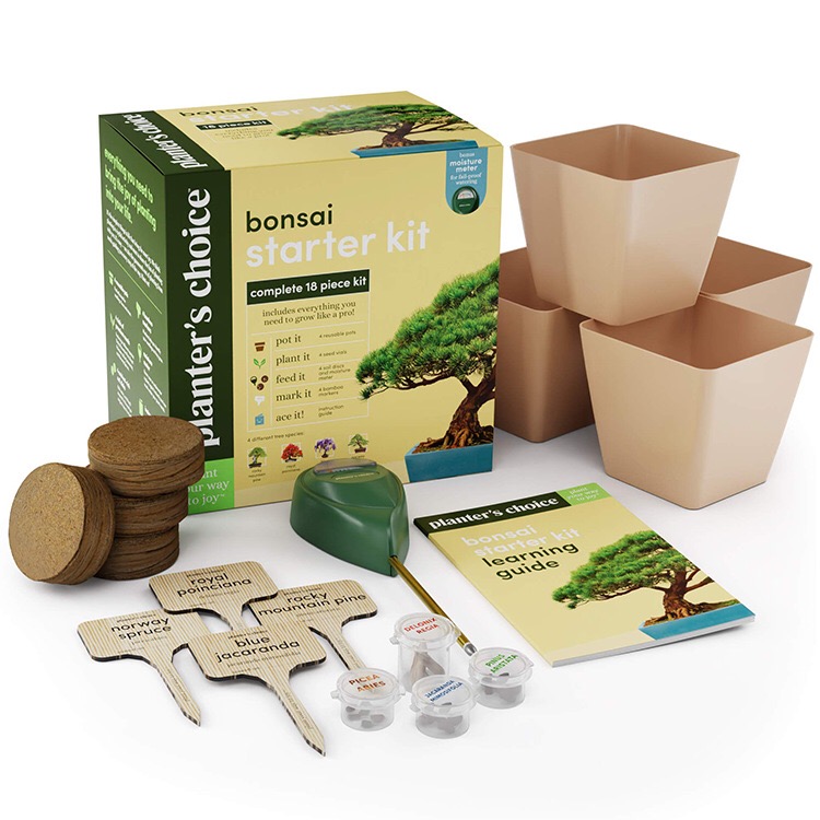 Bonsai Starter Kit - The Complete Growing Kit to Easily Grow 4 Bonsai Trees from Seed Bonsai Growing Tree Kit