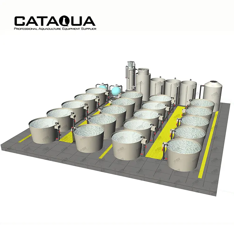 CATAQUA RAS Recirculating Aquaculture System Intensive Indoor Fish Farming System