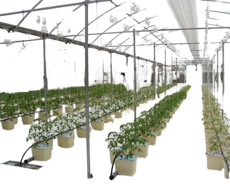 Dutch Bucket System for Hydroponics Greenhouse Plastic Bato Bucket with Motor Ventilation