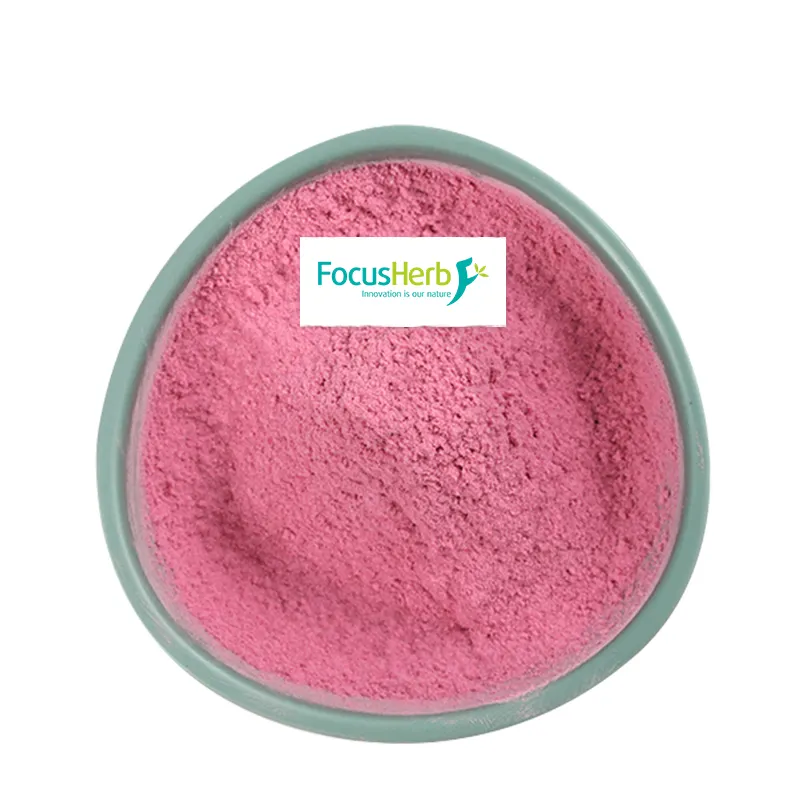 FocusHerb Best Price Freeze Dried Blueberry Powder