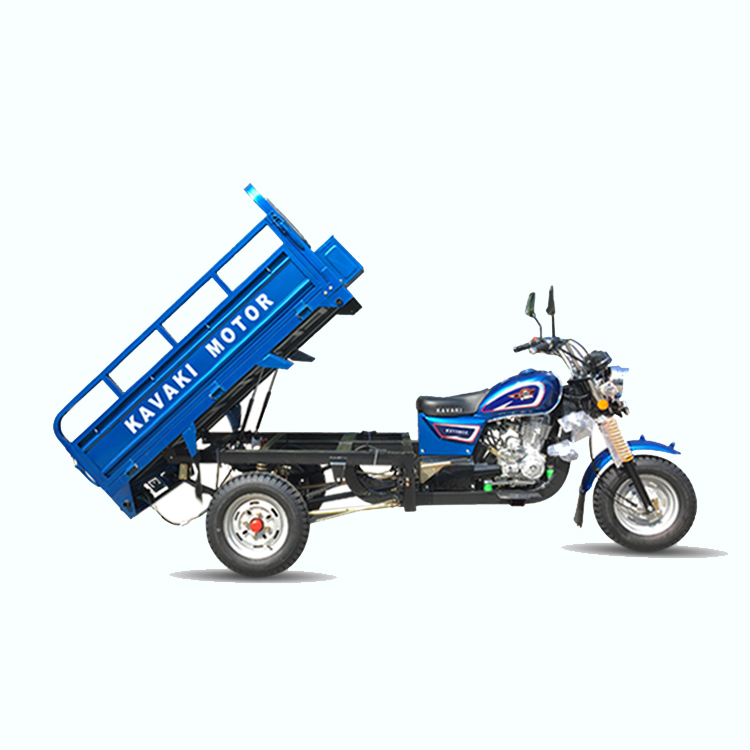 Заводская дешевая цена 150cc 200cc настраиваемый двигатель бензин грузовой трицикл в Китае