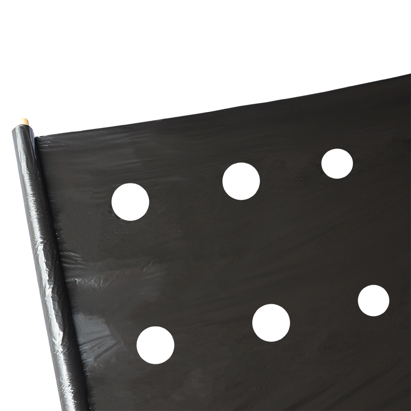 Agriculture use punch hole plastic mulch film anti-grass