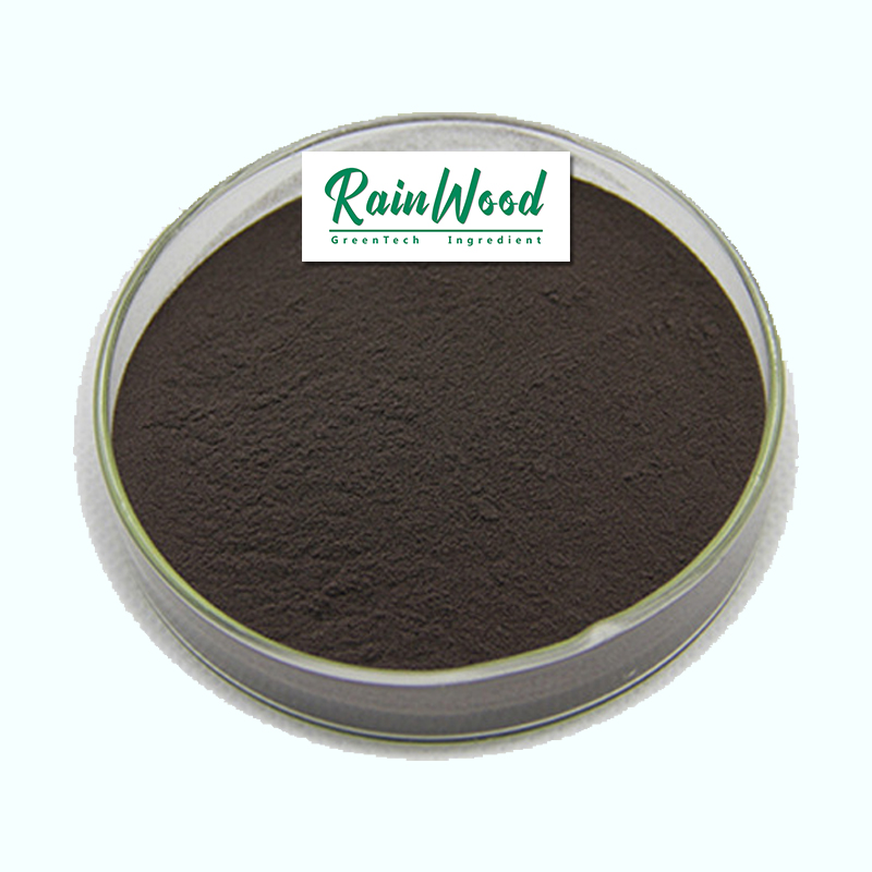 Top quality from Rainwood in stock fast shipping and free sample 100% Pure natural raw propolis extract propolis extract powder