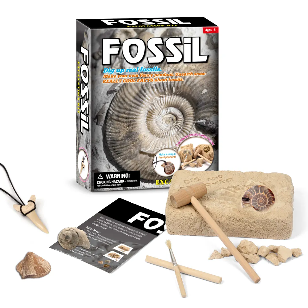 Stem Early Learning Educational Diy Children Oem Products Fossils Excavation Toys Education Toys Dig Kits