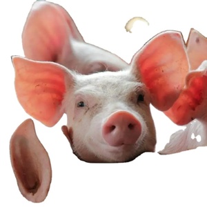 pork shank pork tongue pork jowls